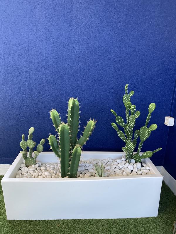 Abrir modal de revisión 1 de 1