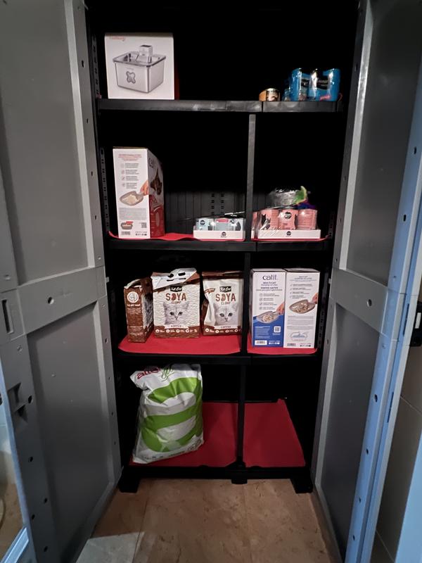 Revisione aperta modale 1 su 2