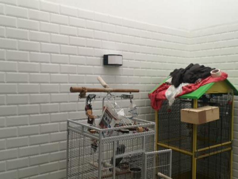 Abrir modal de revisión 1 de 1