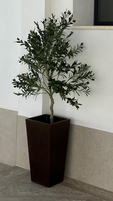 Abrir modal de revisión 1 de 1