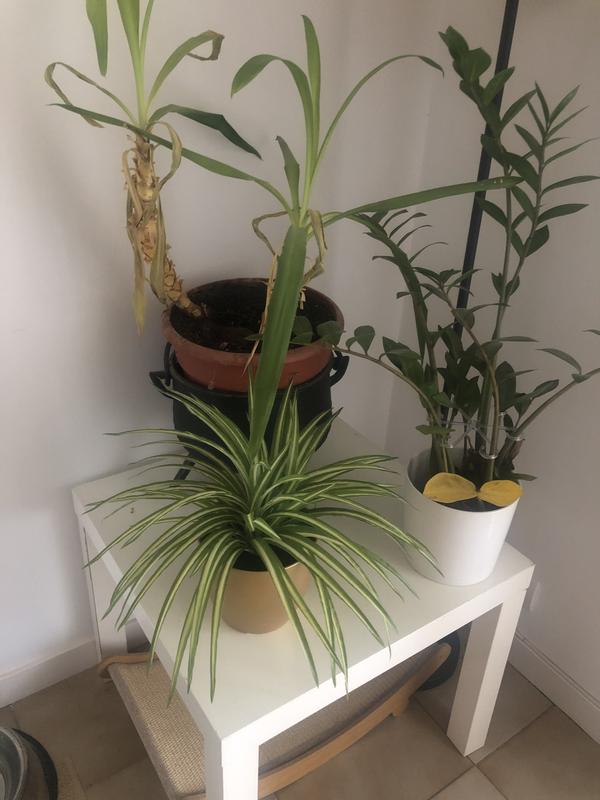 Abra o modal de avaliação 1 de 1