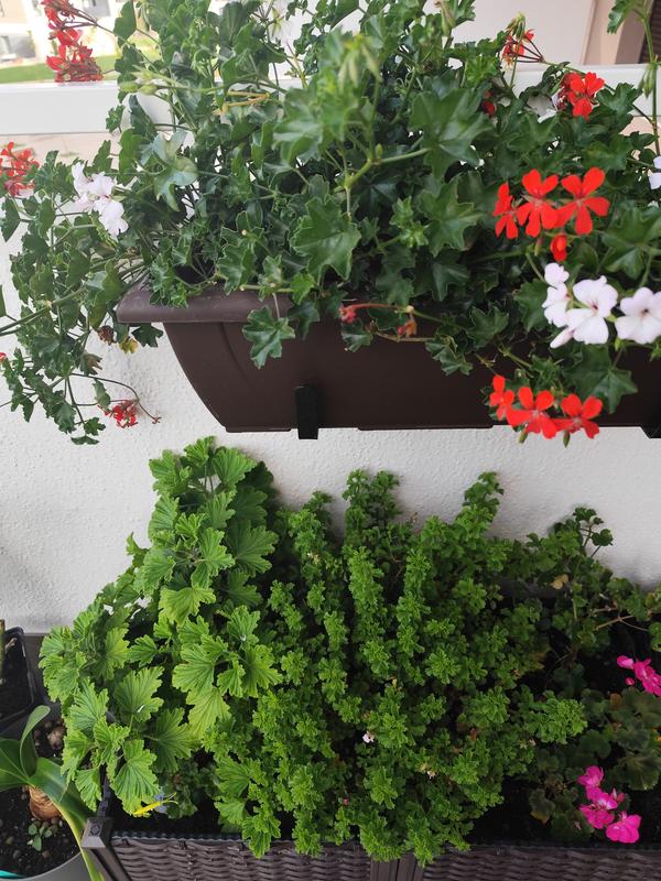 Abra o modal de avaliação 1 de 1