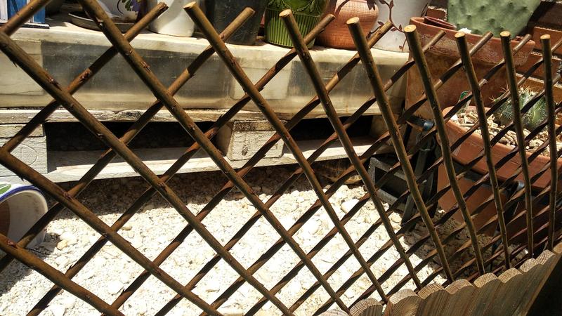 Abra o modal de avaliação 1 de 2