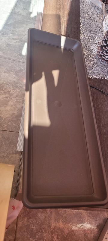 Abrir modal de revisión 1 de 1