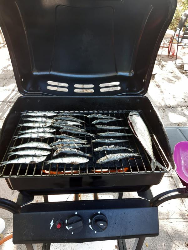 Abrir modal de revisión 1 de 1