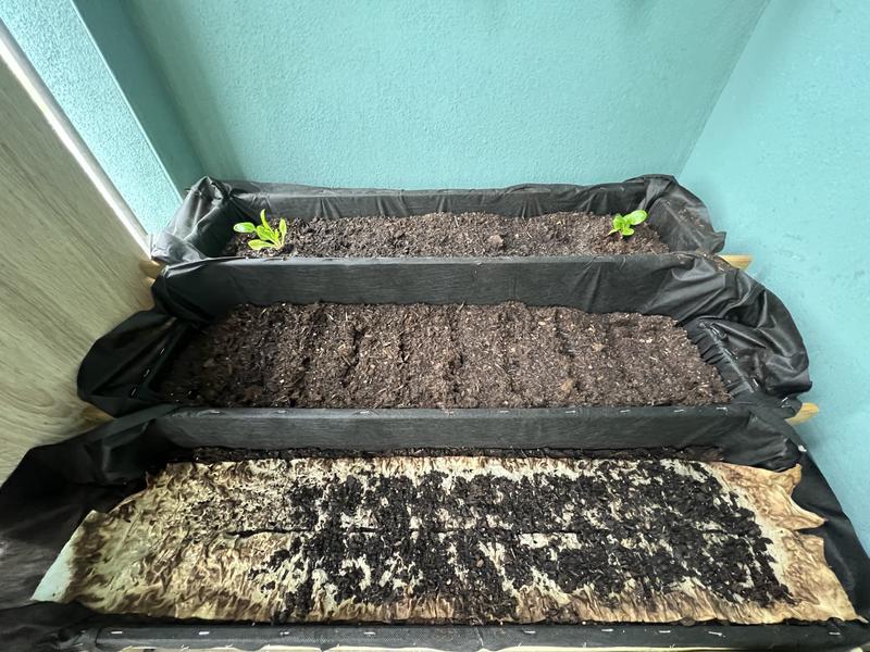 Abra o modal de avaliação 1 de 1