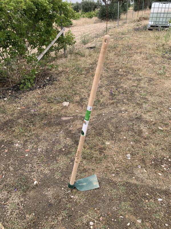 Abra o modal de avaliação 1 de 1