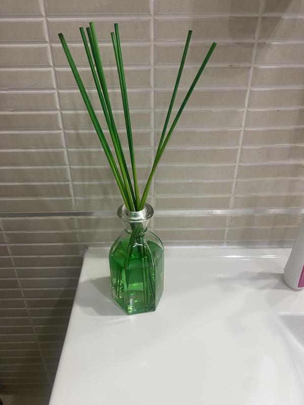 Abra o modal de avaliação 1 de 1