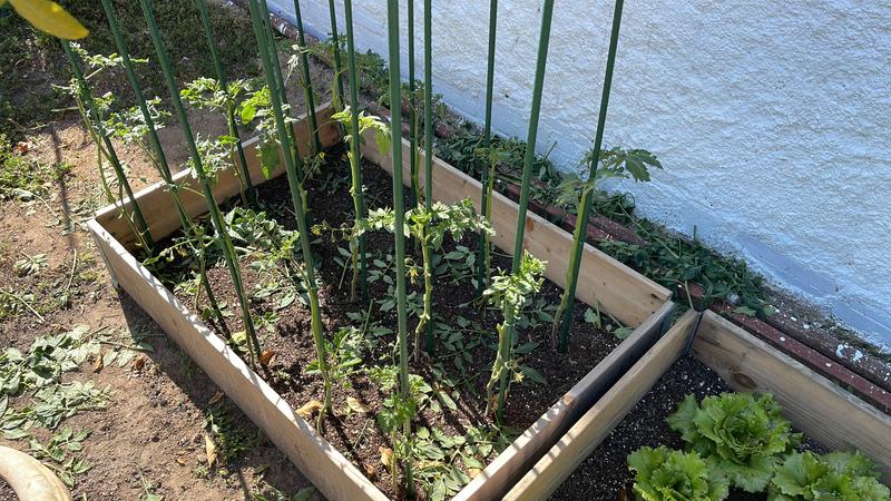 Ouvrir la fenêtre modale de l'avis 1 sur 1