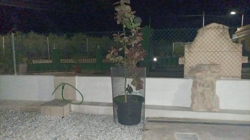 Abrir modal de revisión 1 de 3