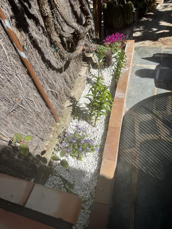 Abrir modal de revisión 1 de 1