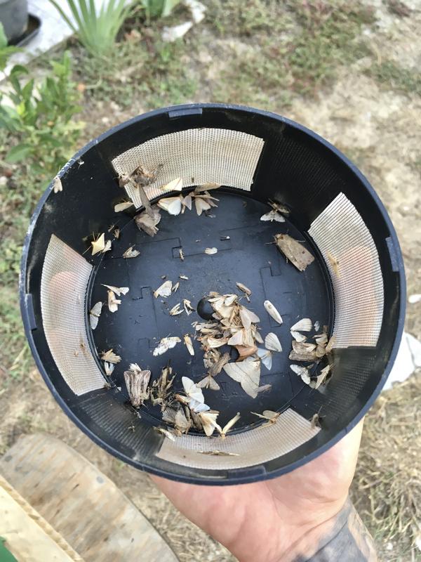 Abra o modal de avaliação 1 de 1