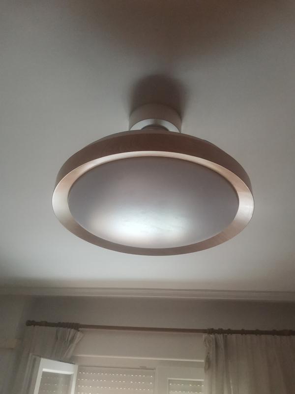 Abrir modal de revisión 1 de 1