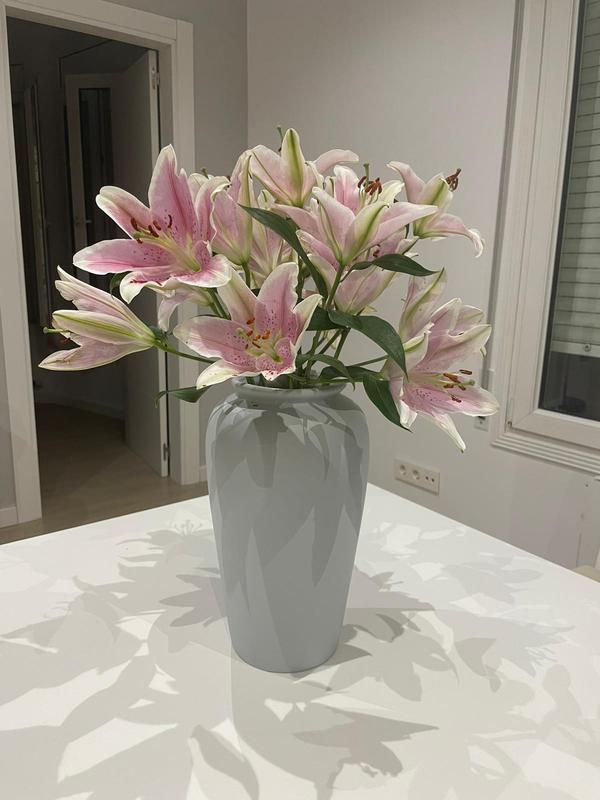 Abrir modal de revisión 1 de 1