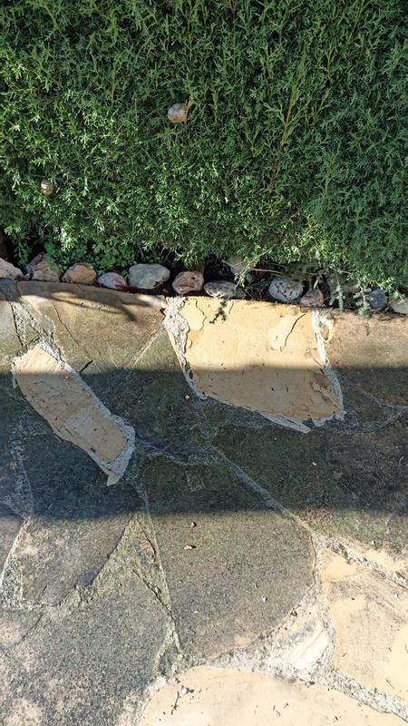 Abrir modal de revisión 1 de 2