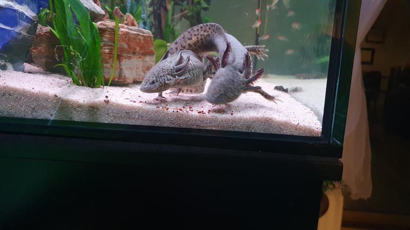 Abrir modal de revisión 1 de 1