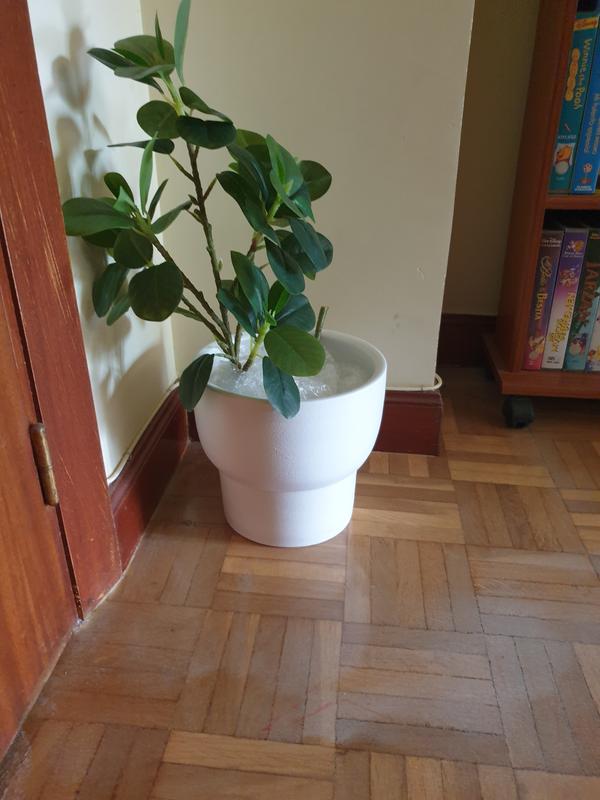 Abrir modal de revisión 1 de 2