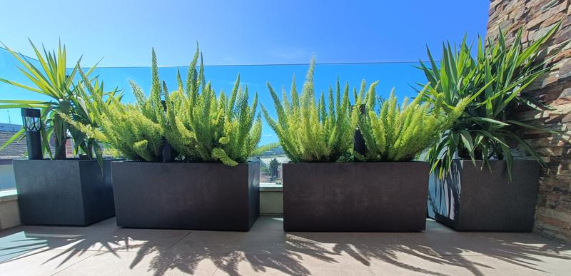 Abrir modal de revisión 1 de 2