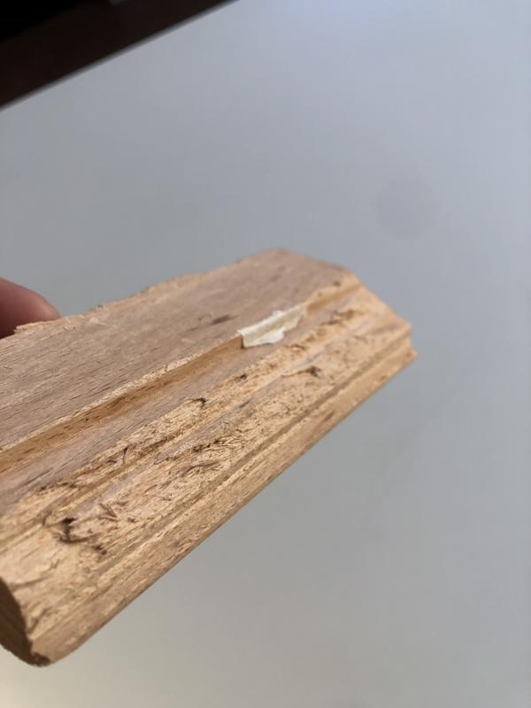 Abra o modal de avaliação 1 de 1