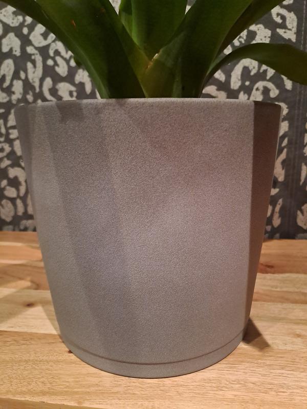 Abrir modal de revisión 2 de 2