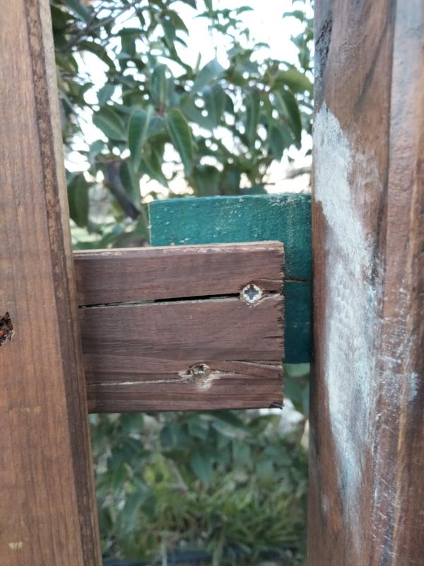 Revisione aperta modale 1 su 1