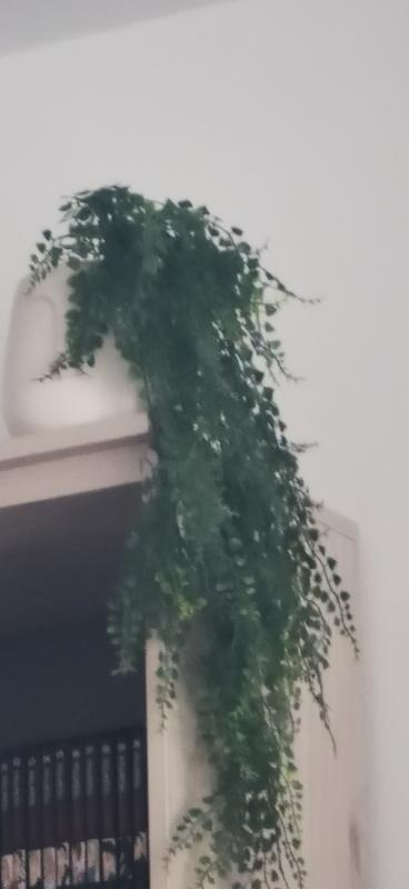 Abra o modal de avaliação 1 de 1