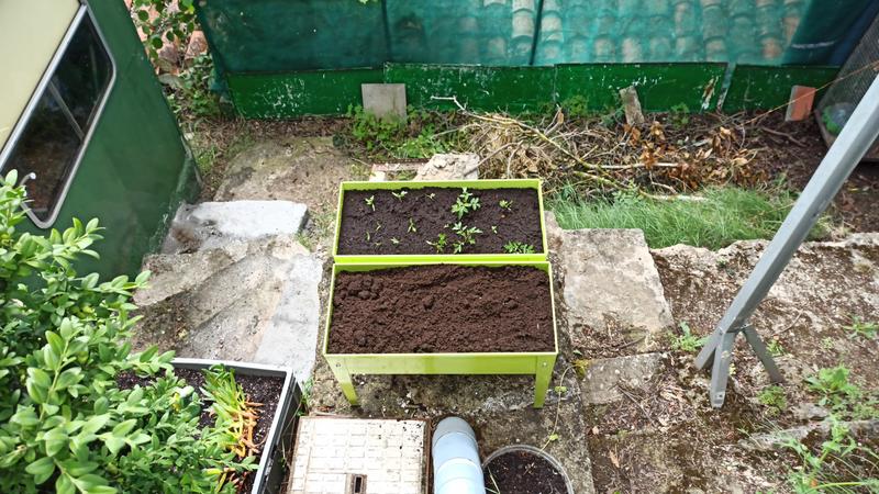 Abrir modal de revisión 1 de 1