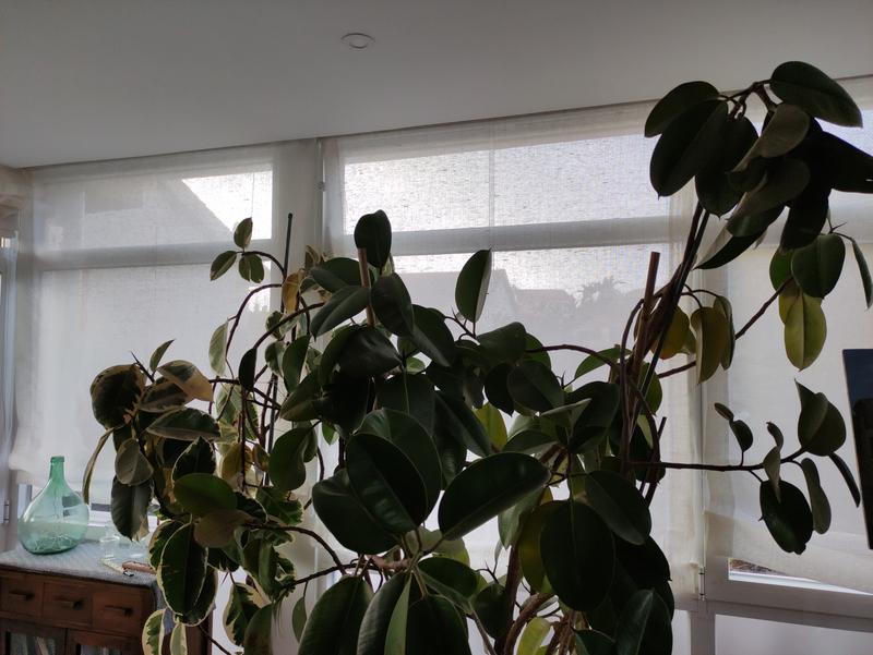 Abrir modal de revisión 2 de 2