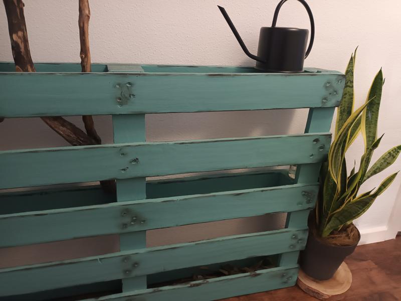 Abrir modal de revisión 3 de 6