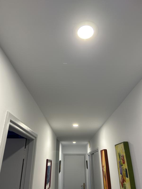 Revisione aperta modale 1 su 1