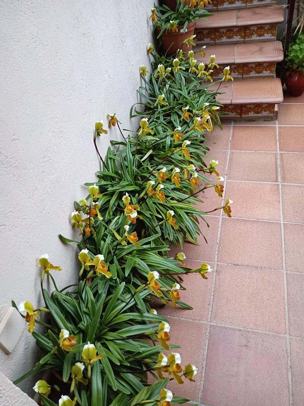 Abrir modal de revisión 1 de 1