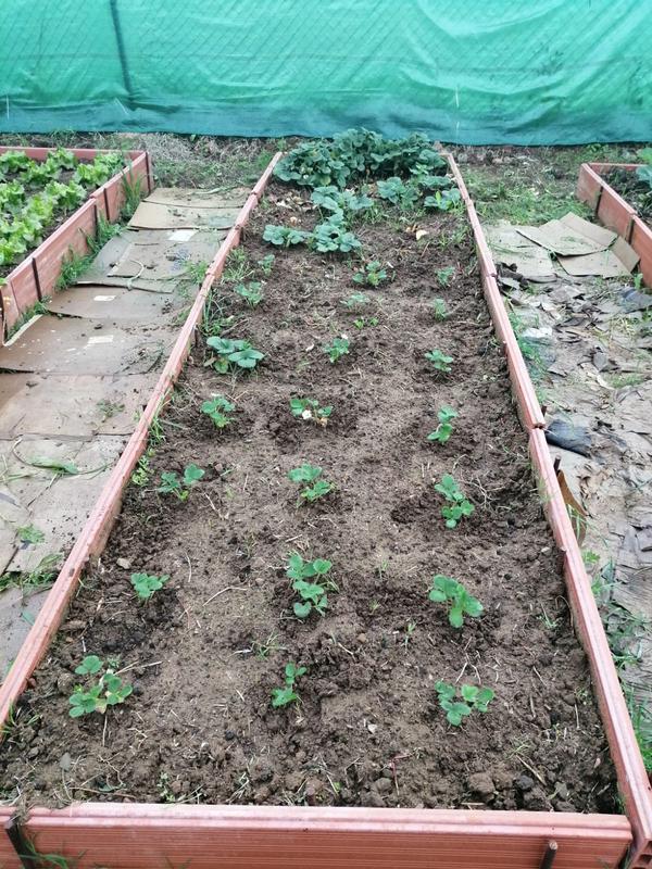 Abrir modal de revisión 1 de 1