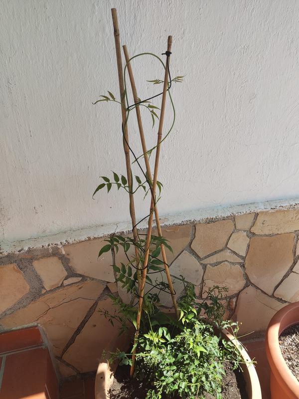 Abra o modal de avaliação 1 de 1