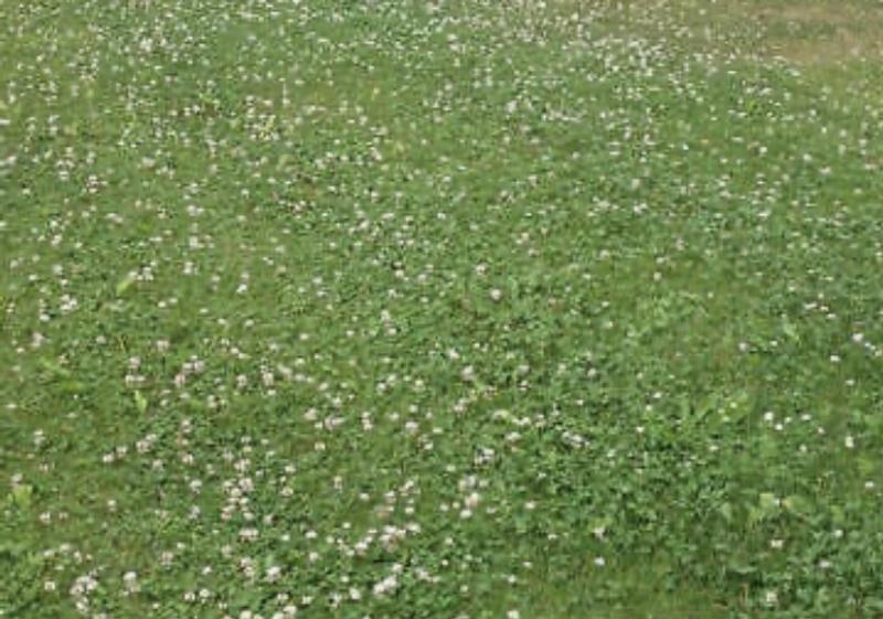 Abra o modal de avaliação 1 de 1