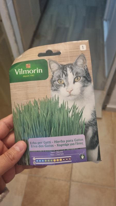 Abrir modal de revisión 1 de 2