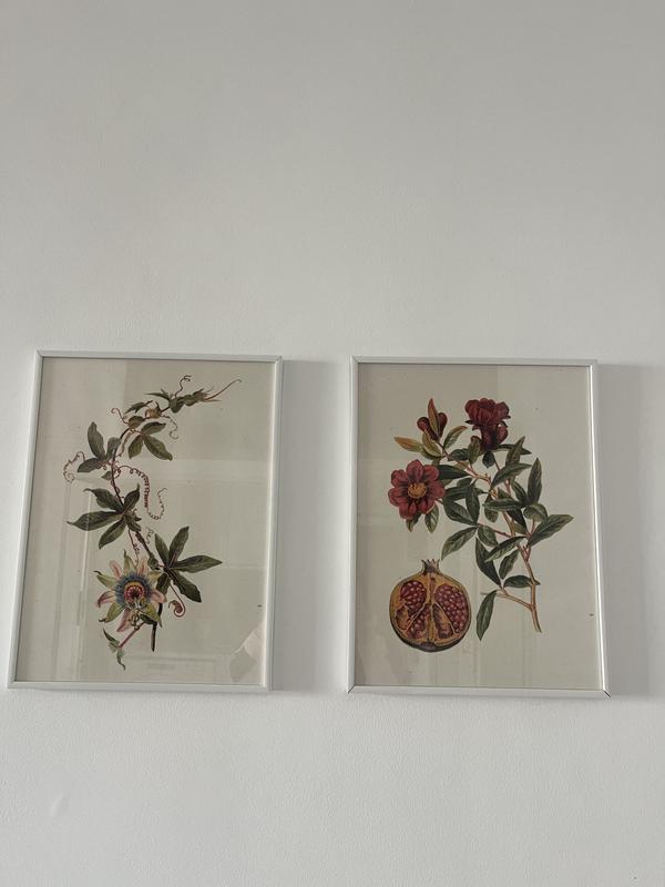 Abra o modal de avaliação 2 de 2