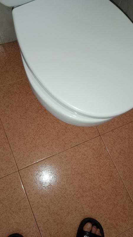 Nemo Go Fora Abattant WC frein de chute déclipsable Duroplast noir - 540757  