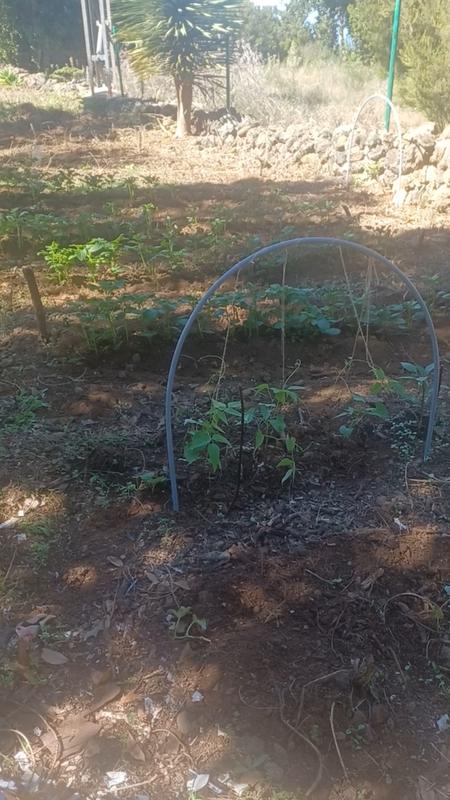 Abrir modal de revisión 1 de 1