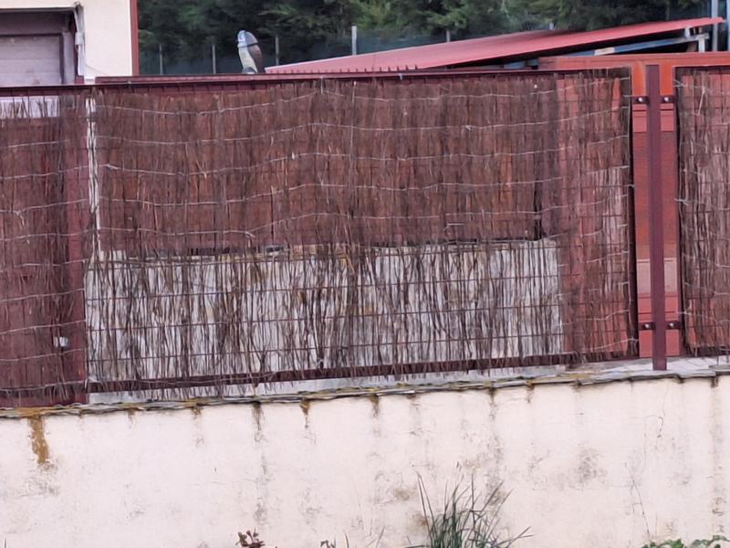 Abrir modal de revisión 1 de 1