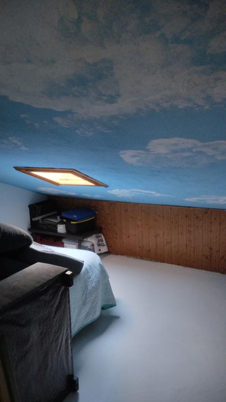 Abrir modal de revisión 1 de 1