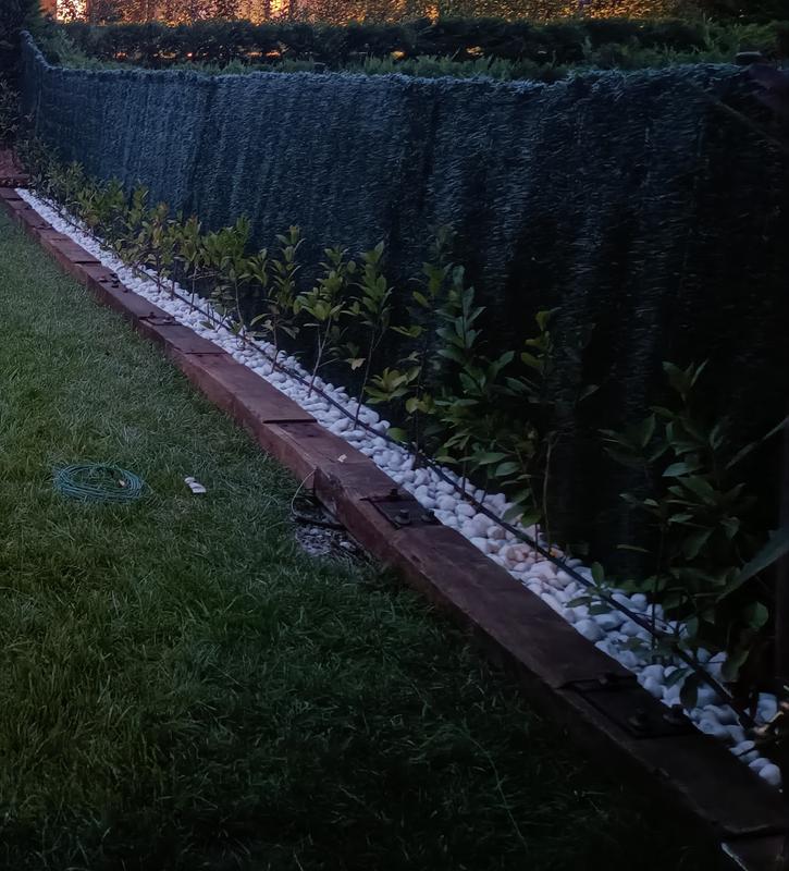 Abrir modal de revisión 1 de 1