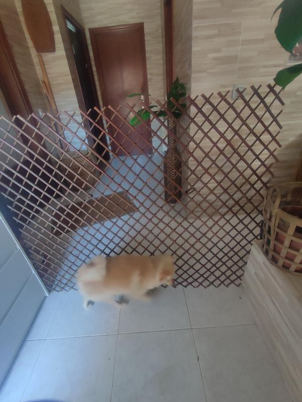 Abra o modal de avaliação 1 de 1