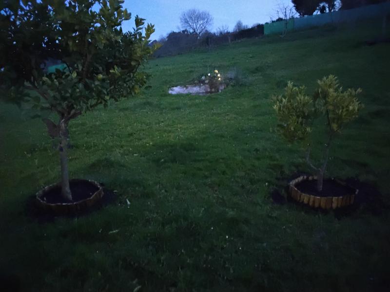 Ouvrir la fenêtre modale de l'avis 1 sur 1