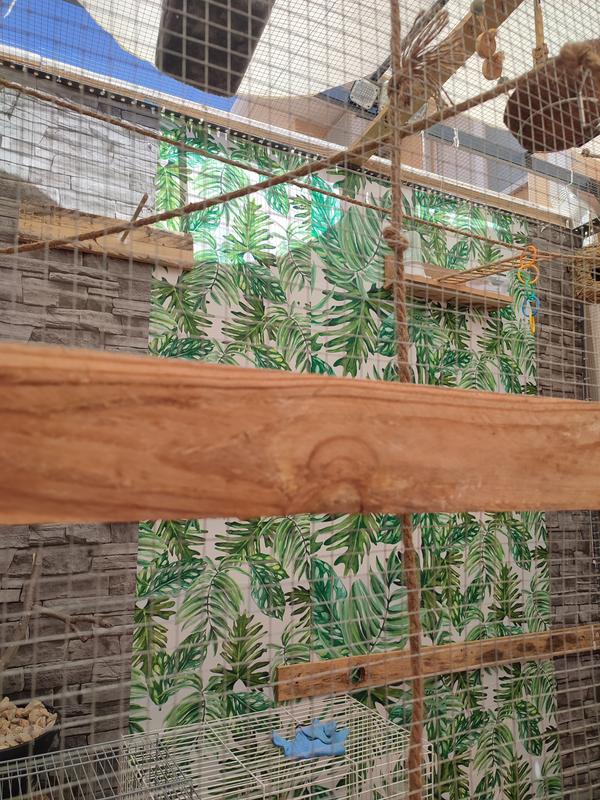 Abra o modal de avaliação 1 de 1