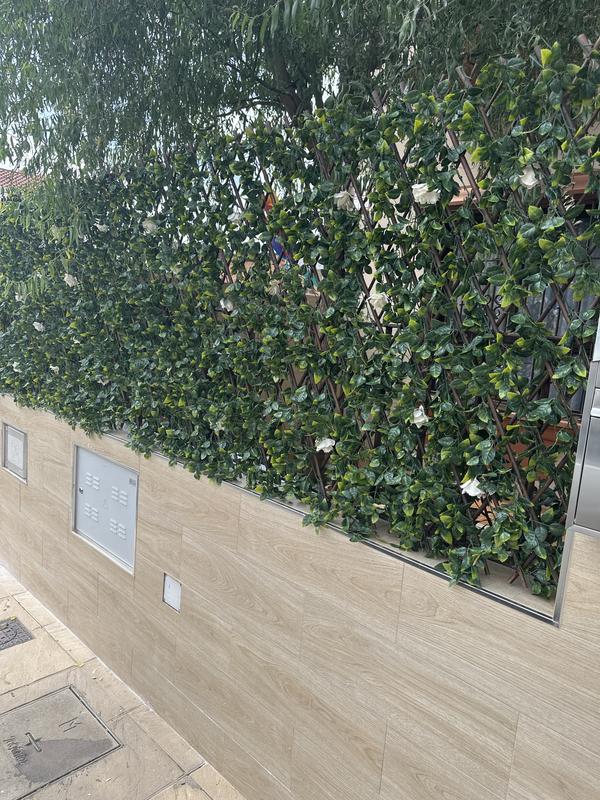 Abrir modal de revisión 1 de 3