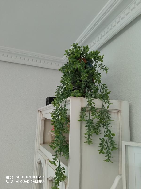 Abrir modal de revisión 1 de 1