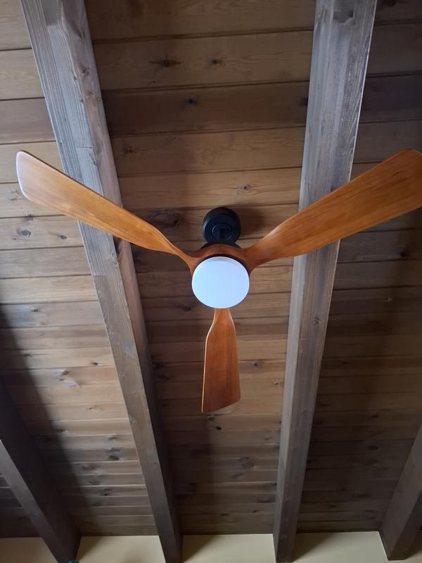 Abra o modal de avaliação 1 de 1