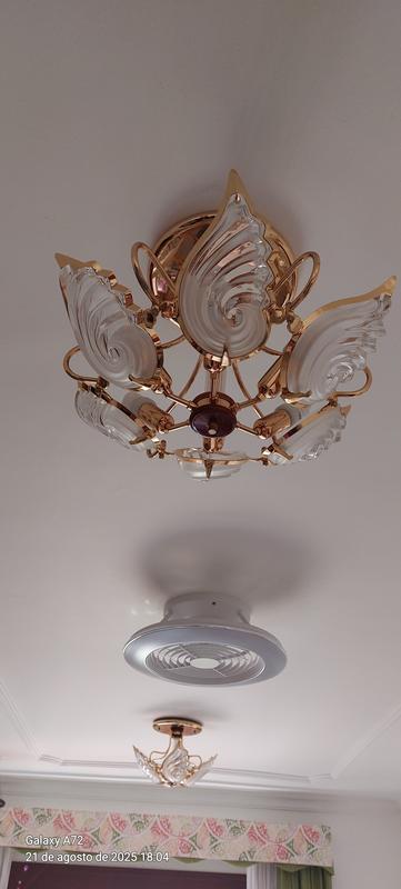 Abrir modal de revisión 3 de 3