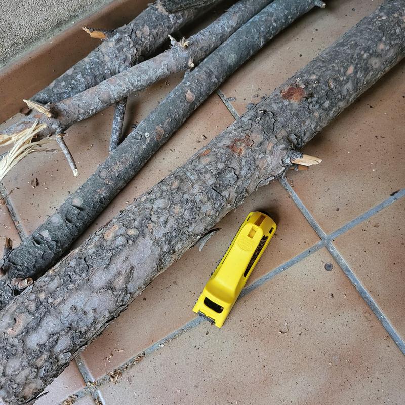 Revisione aperta modale 2 su 2