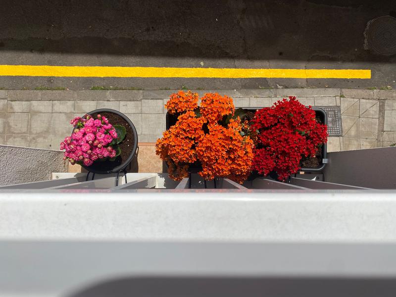 Abrir modal de revisión 1 de 1